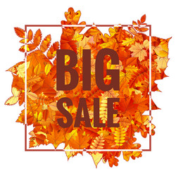 Similar image 11808587