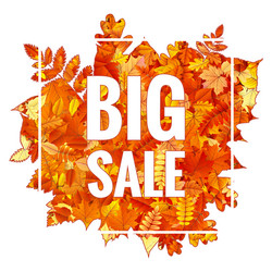 Similar image 11808606