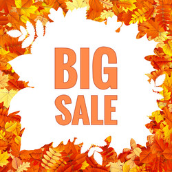 Similar image 11808607