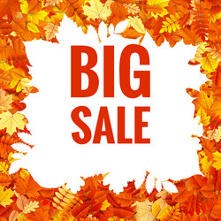 Similar image 11808608