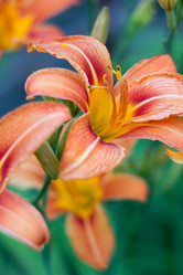 Similar image 11811606