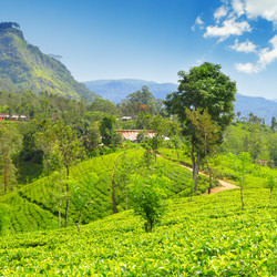 Similar image 11801121