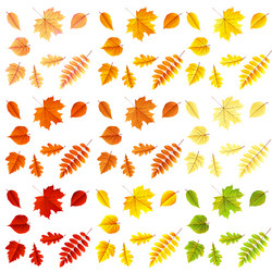 Similar image 11806982