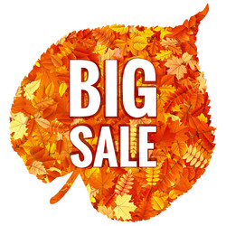 Similar image 11807013