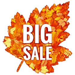 Similar image 11807014