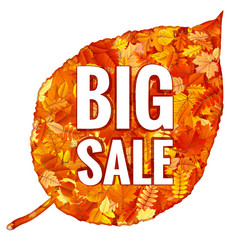 Similar image 11807034