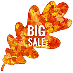 Similar image 11807051