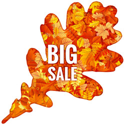 Similar image 11807052