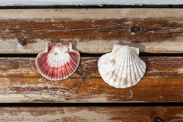 Similar image 11802453