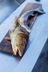 Similar image 11802454