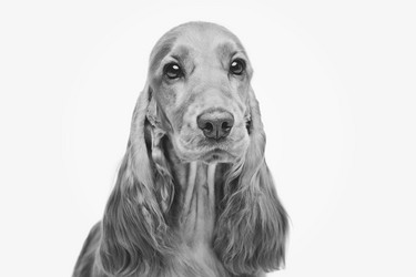 Similar image 11802497