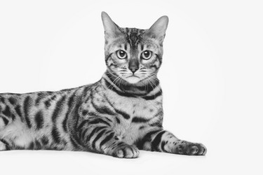 Similar image 11802499