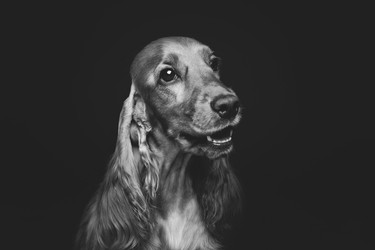 Similar image 11802521