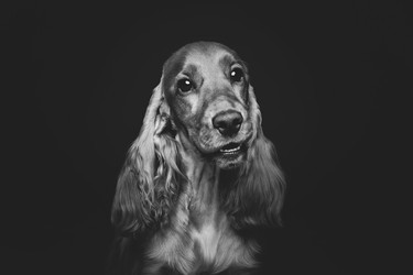 Similar image 11802536