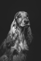 Similar image 11802537