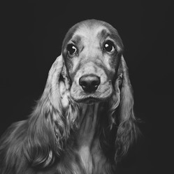 Similar image 11802538