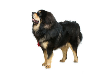 Similar image 11802591