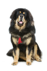 Similar image 11802593