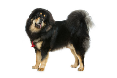 Similar image 11802610