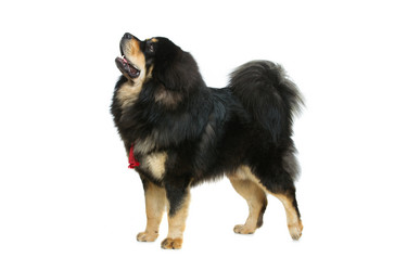 Similar image 11802611