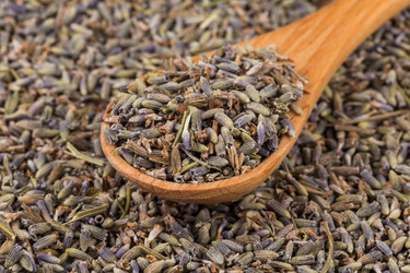 Similar image 11787283