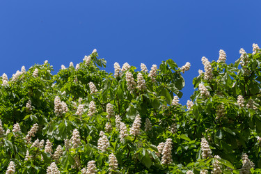 Similar image 11786923