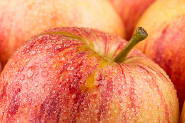 Similar image 11786927