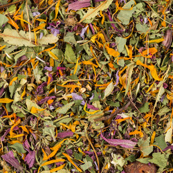 Similar image 11787069