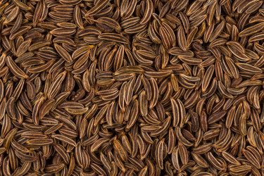 Similar image 11786896