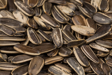 Similar image 11787107