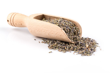 Similar image 11787126