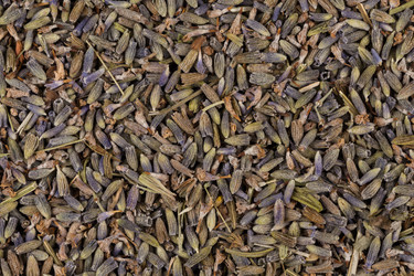 Similar image 11787141