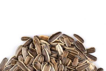 Similar image 11787162