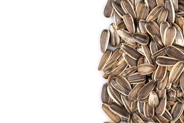 Similar image 11787163