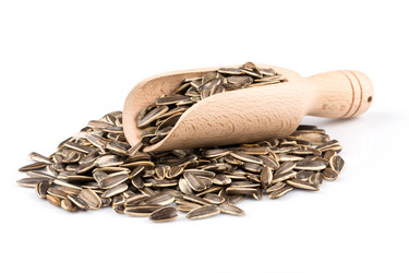 Similar image 11787166