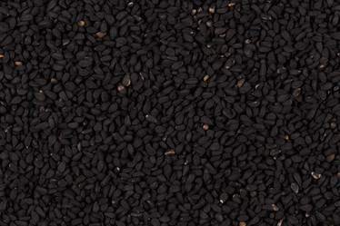 Similar image 11787205