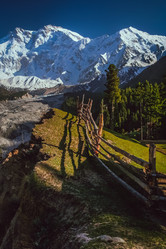 Similar image 11821480