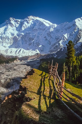 Similar image 11821481