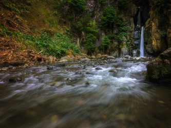 Similar image 11821472