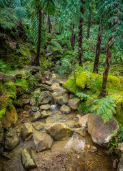 Similar image 11821447