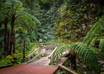 Similar image 11821449