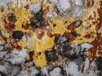 Similar image 11821454