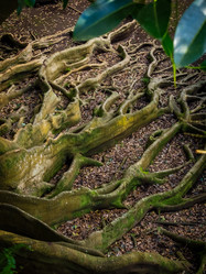 Similar image 11821394