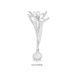 Similar image 11833506