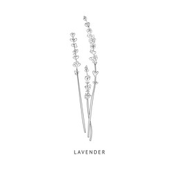 Similar image 11833569