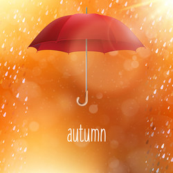 Similar image 11806771