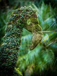 Similar image 11784503