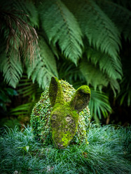 Similar image 11784536