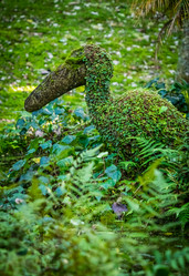 Similar image 11784537