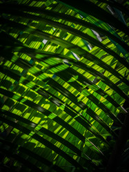 Similar image 11784556